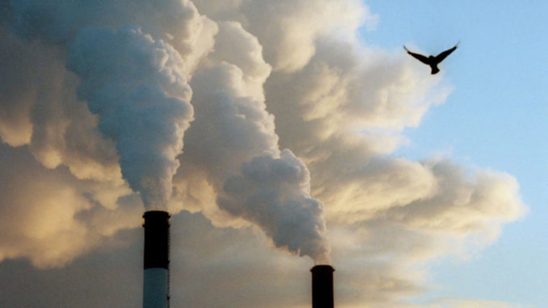 Экологическое состояние воздуха. Загрязнение воздуха. Экология. Загрязнение окружающей среды воздух. Экология воздуха.